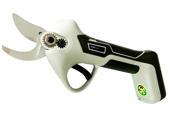 Draadloze Elektrische Pruner-van de Boompruner 20V van de Schaartuin het Lithiumtak Pruner